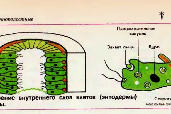 Магазины наркотиков