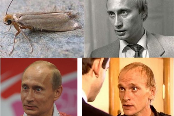 Kraken сайт зеркала